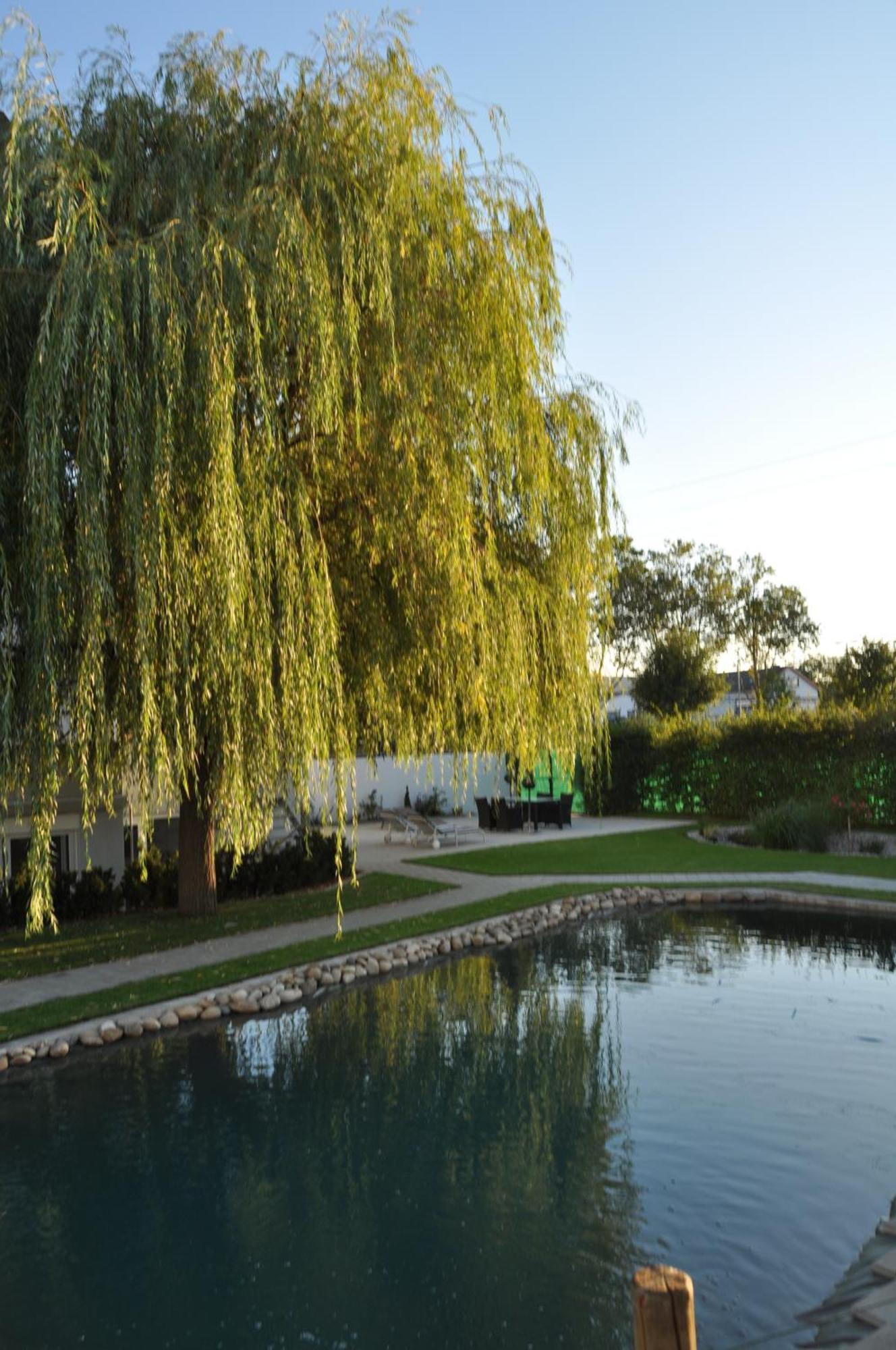 Kirchers Park & Wellnesshotel Kaiserstuhl Garni Endingen am Kaiserstuhl Exterior foto